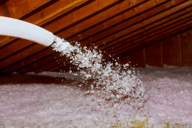 Best Attic Insulation Installation  in Prescott, AZ