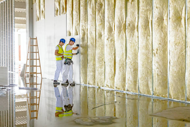 Best Insulation Air Sealing  in Prescott, AZ